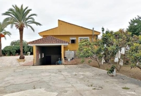 San Vicente del Raspeig 14000&nbsp;м²