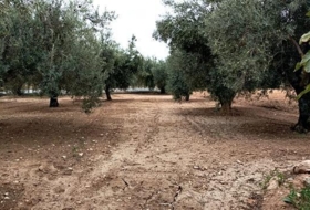 San Vicente del Raspeig 14000&nbsp;м²
