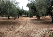 Chalet independiente con terreno en venta en la España, San Vicente del Raspeig, ref: TR362806 foto
