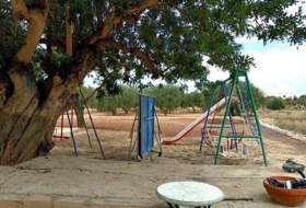 San Vicente del Raspeig 14000&nbsp;м²