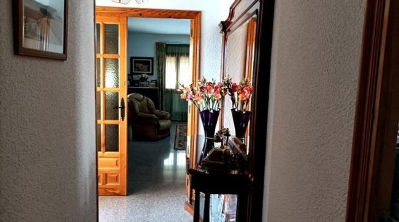Alicante - Sant Vicent del Raspeig - 14000m2