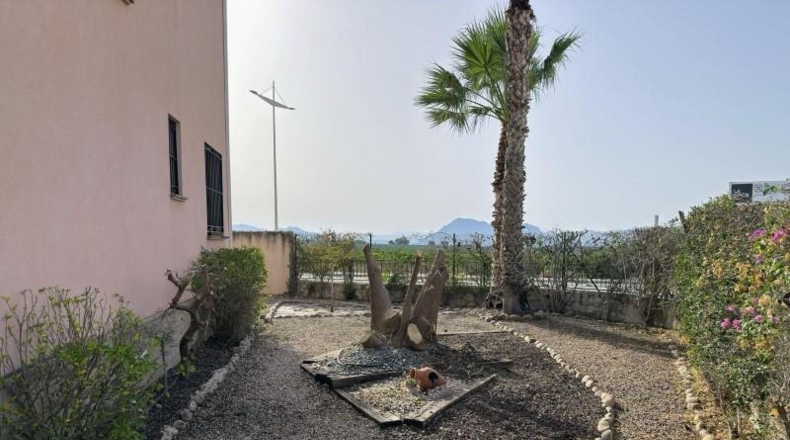 Alicante - Algorfa - 503m2