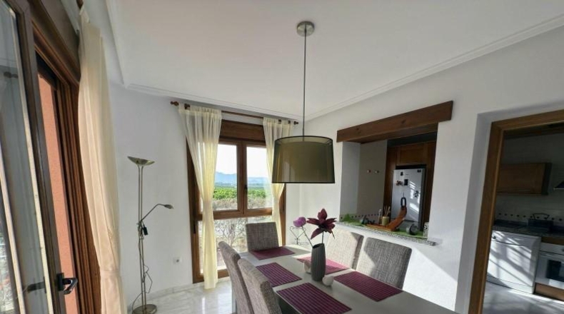 Alicante - Algorfa - 503m2