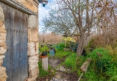 Country house with land for sale on España, Sa Pobla, ref: TR387872 photo