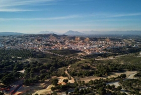 Foto 15