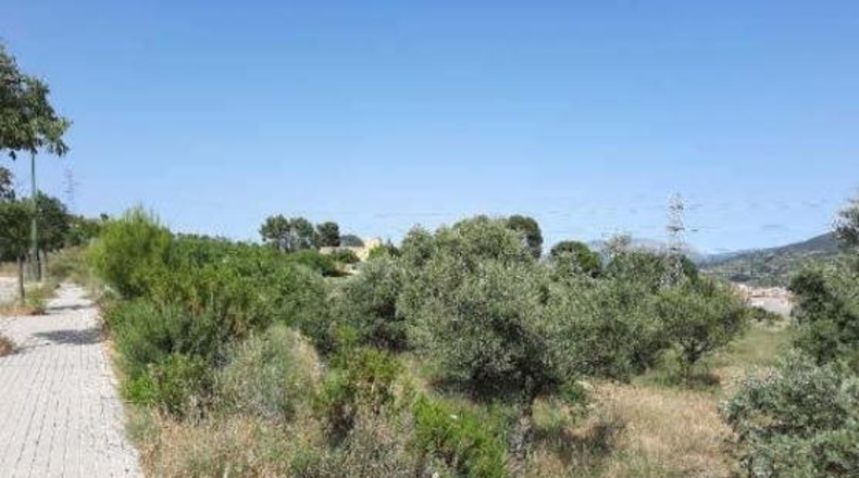 Alicante - Alcoy - 10127m2