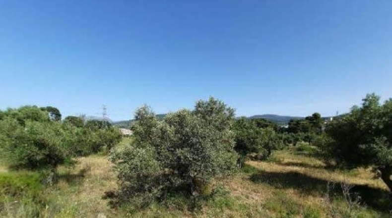 Alicante - Alcoy - 10127m2
