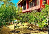 Xalet independent amb terreny en venda a la España, la Nucia, ref.: TR319869 foto