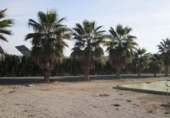 Chalet independiente con terreno en venta en la España, Aspe, ref: TR317376 foto