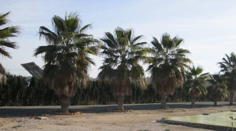 Alicante - Aspe - 9600m2