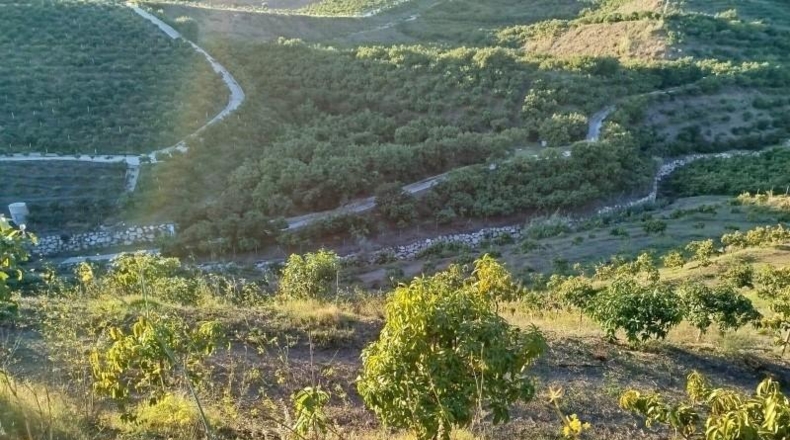 Málaga - Almayate Alto - 30000m2