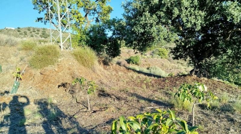 Málaga - Almayate Alto - 30000m2