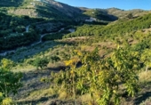 Terreny no urbanitzable en venda a la España, Almayate Alto, ref.: TR361876 foto