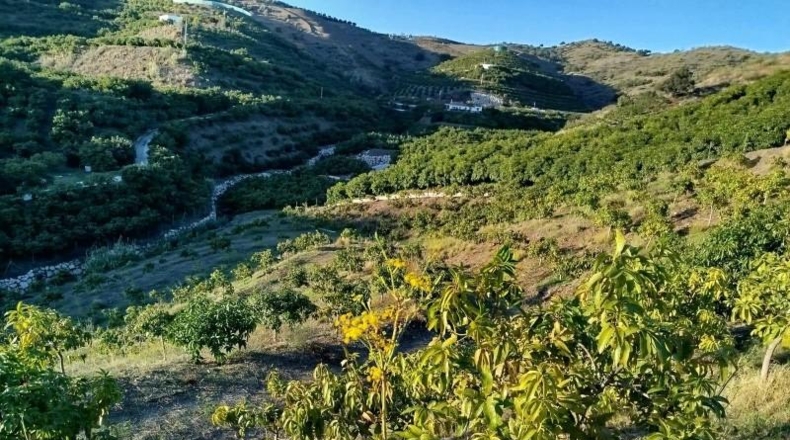 Málaga - Almayate Alto - 30000m2