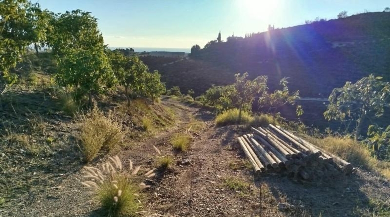 Málaga - Almayate Alto - 30000m2