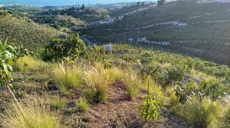 Málaga - Almayate Alto - 30000m2