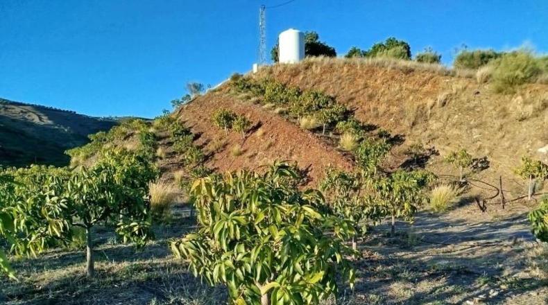 Málaga - Almayate Alto - 30000m2