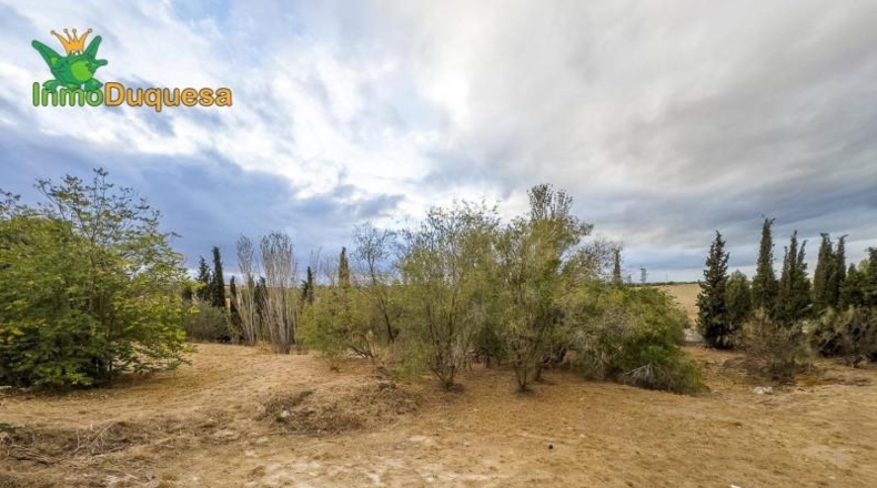 Granada - Los Llanos - 3069m2