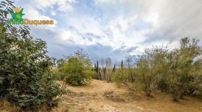 Granada - Los Llanos - 3069m2