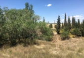 Casa amb terreny en venda a la España, Los Llanos, ref.: TR296184 foto