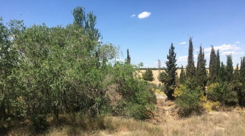 Granada - Los Llanos - 3531m2