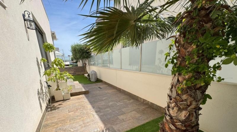 Alicante - Orihuela - 367m2