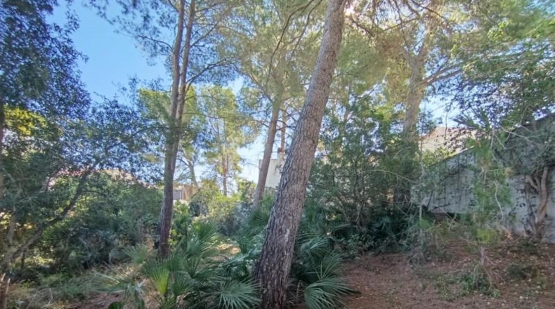 Tarragona - l'Ametlla de Mar - 815m2