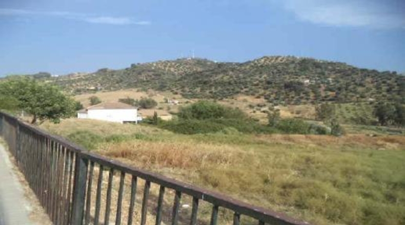 Cadiz - Algodonales - 10026m2