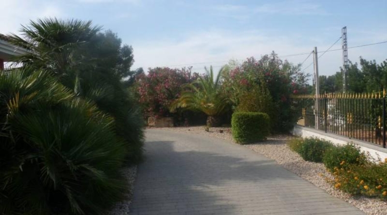Valencia - Onteniente - 5000m2