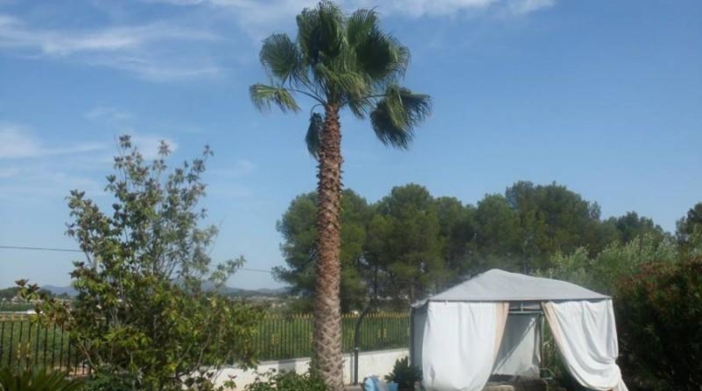Valencia - Onteniente - 5000m2