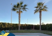 Chalet independiente con terreno en venta en la España, Orihuela, ref: TR362152 foto