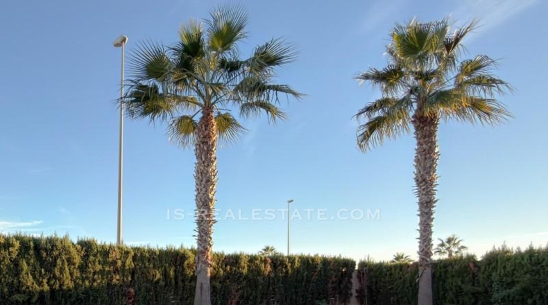 Alicante - Dehesa de Campoamor - 500m2