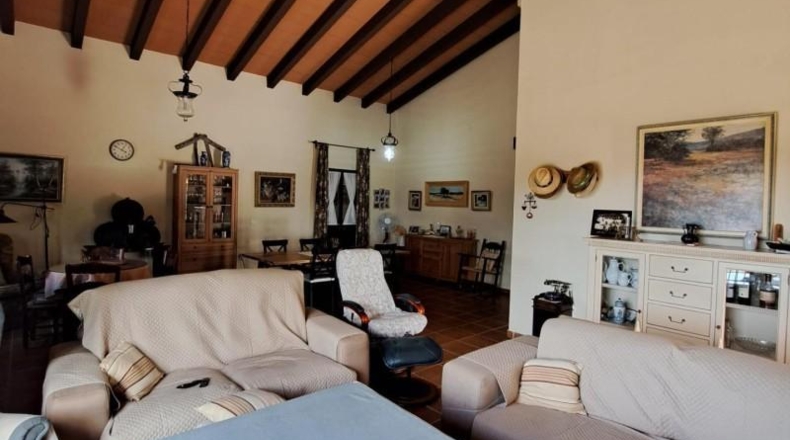 Cádiz - Jerez de la Frontera - 25000m2