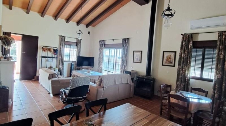Cádiz - Jerez de la Frontera - 25000m2