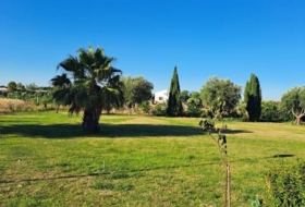 Jerez de la Frontera 25000&nbsp;m² 