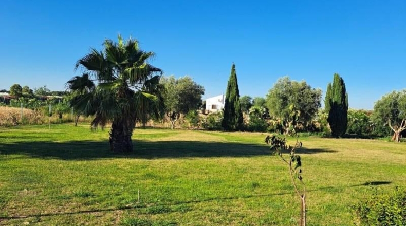Cádiz - Jerez de la Frontera - 25000m2