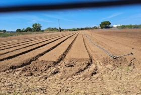 Jerez de la Frontera 25000&nbsp;m² 
