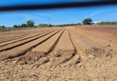 Xalet independent amb terreny en venda a la España, Jerez de la Frontera, ref.: TR312343 foto