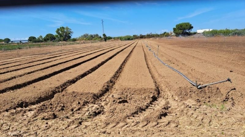 Cádiz - Jerez de la Frontera - 25000m2