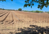 Xalet independent amb terreny en venda a la España, Jerez de la Frontera, ref.: TR312343 foto