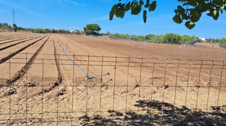 Cádiz - Jerez de la Frontera - 25000m2