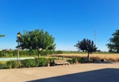 Xalet independent amb terreny en venda a la España, Jerez de la Frontera, ref.: TR312343 foto