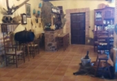 Casa de camp amb terreny en venda a la España, Lorca, ref.: TR275982 foto