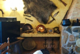 Foto 16