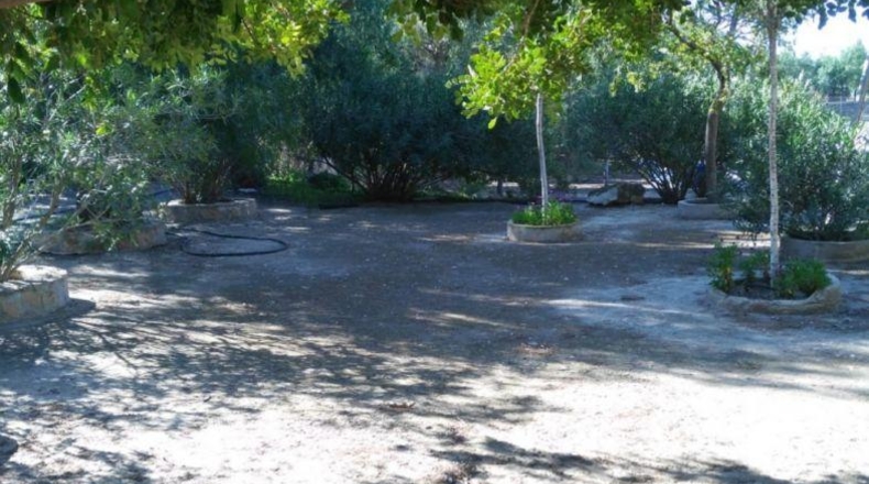 Murcia - Lorca - 8000m2
