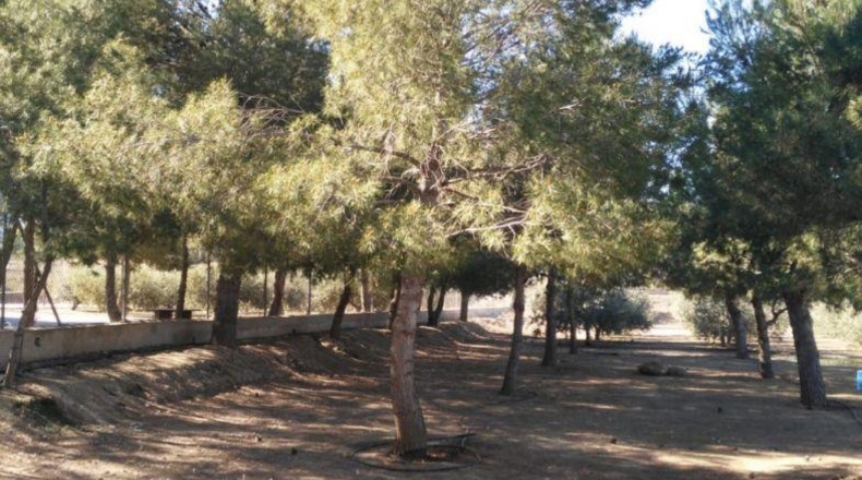 Murcia - Lorca - 8000m2