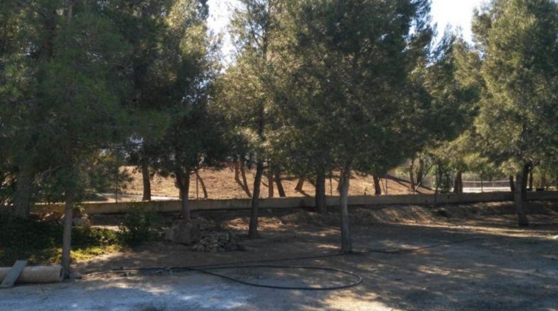 Murcia - Lorca - 8000m2