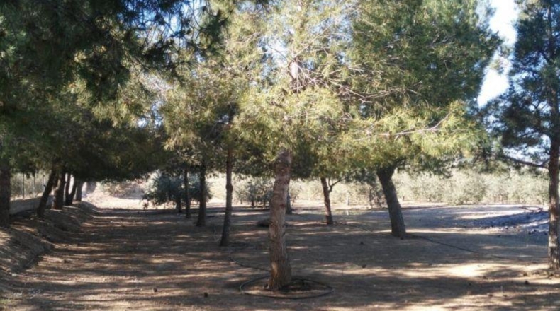 Murcia - Lorca - 8000m2