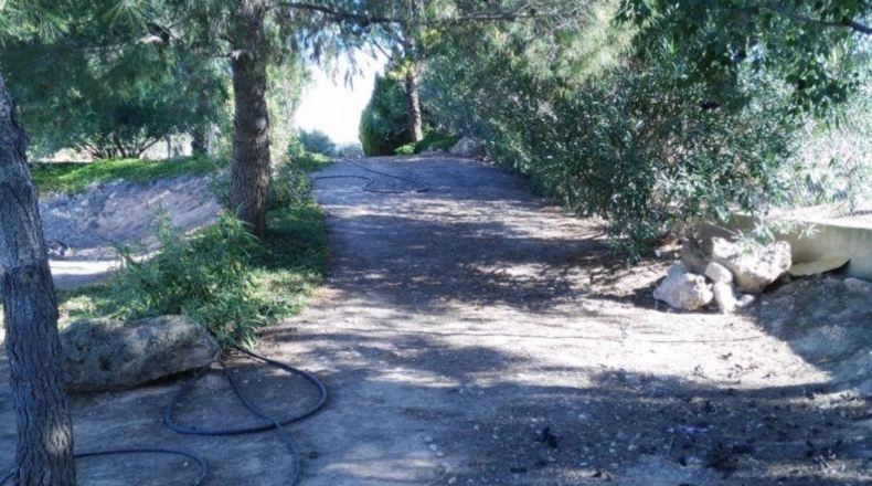 Murcia - Lorca - 8000m2
