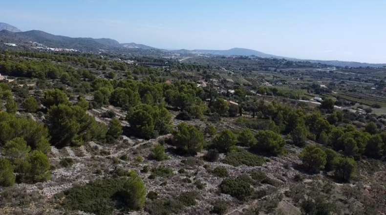 Alicante - Benisa - 33673m2